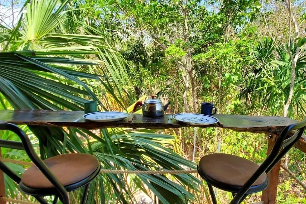 Buenavista Cuarto Maracuyaアパートメント アパート Buenavista (Quintana Roo)